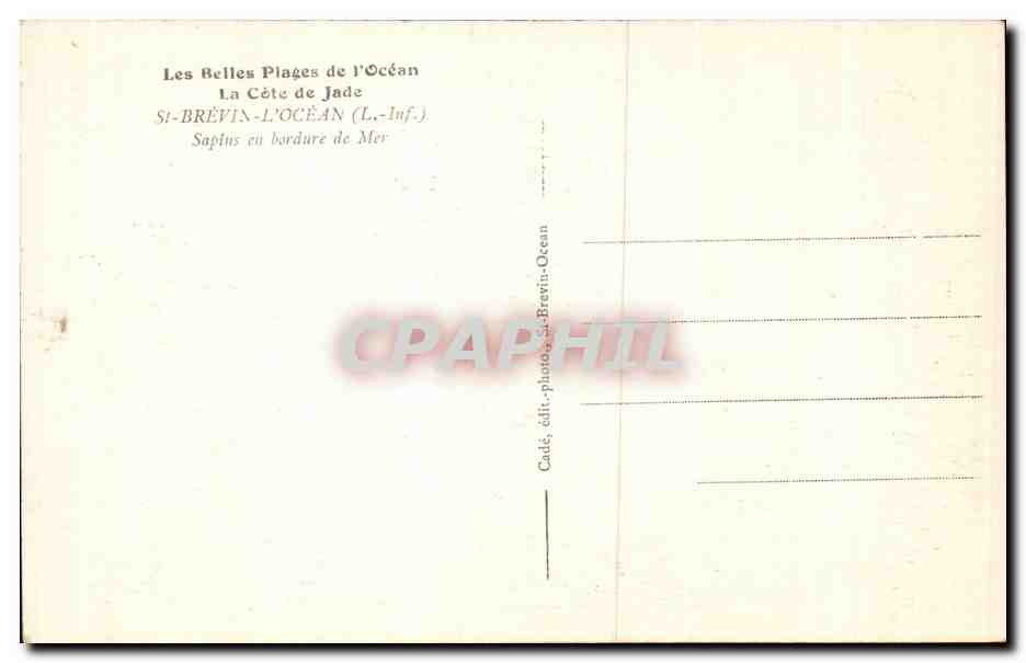 CPA St Brevin l'ocean Sapins en bordure de mer — Rückseite