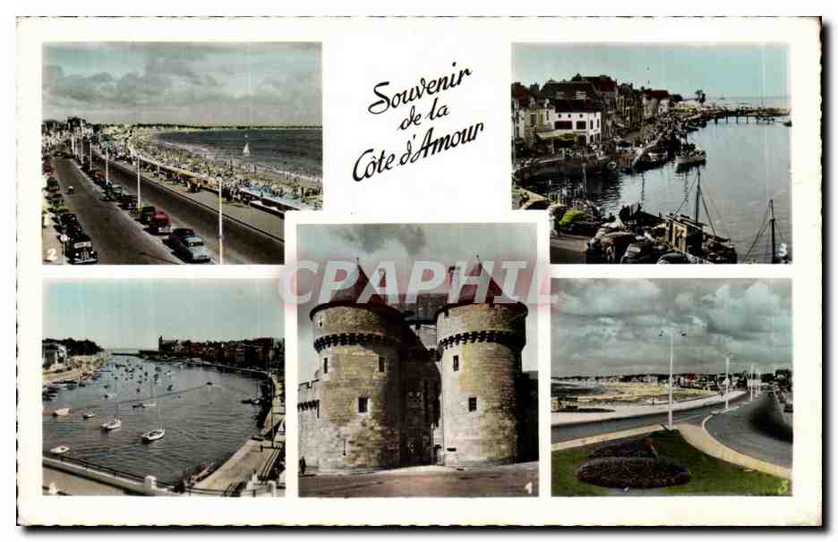 CPM Souvenir de la Cote d'Armor Guerande La Baule Pornic Le Pouligueun Pornichet