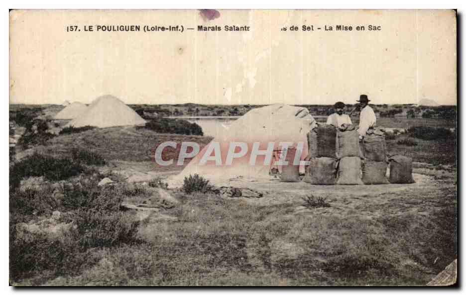 CPA Le Pouliguen Marais salant La mise en sac