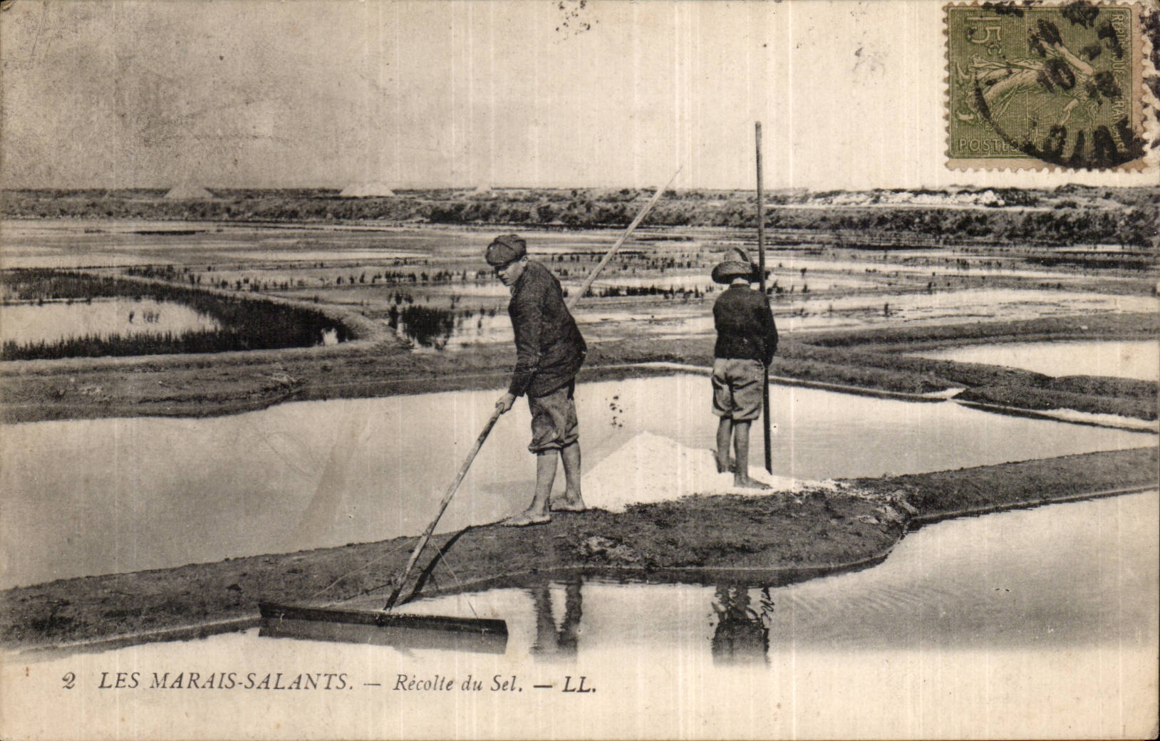 CPA Les marais salants Recolte de sel