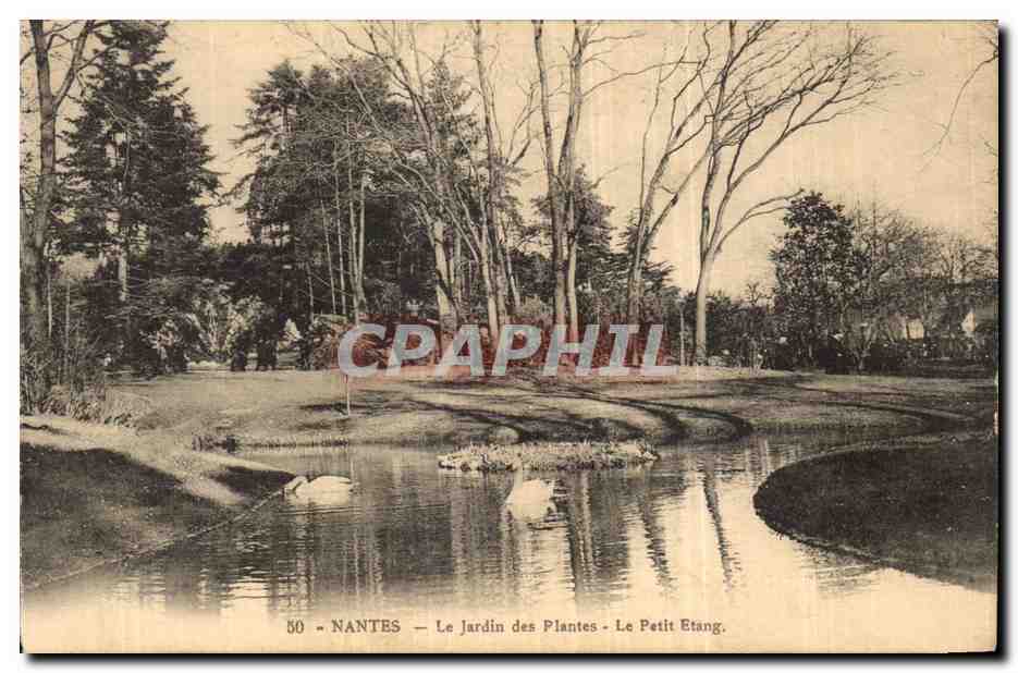 CPA Nantes Le jardin des plantes Le petit etang