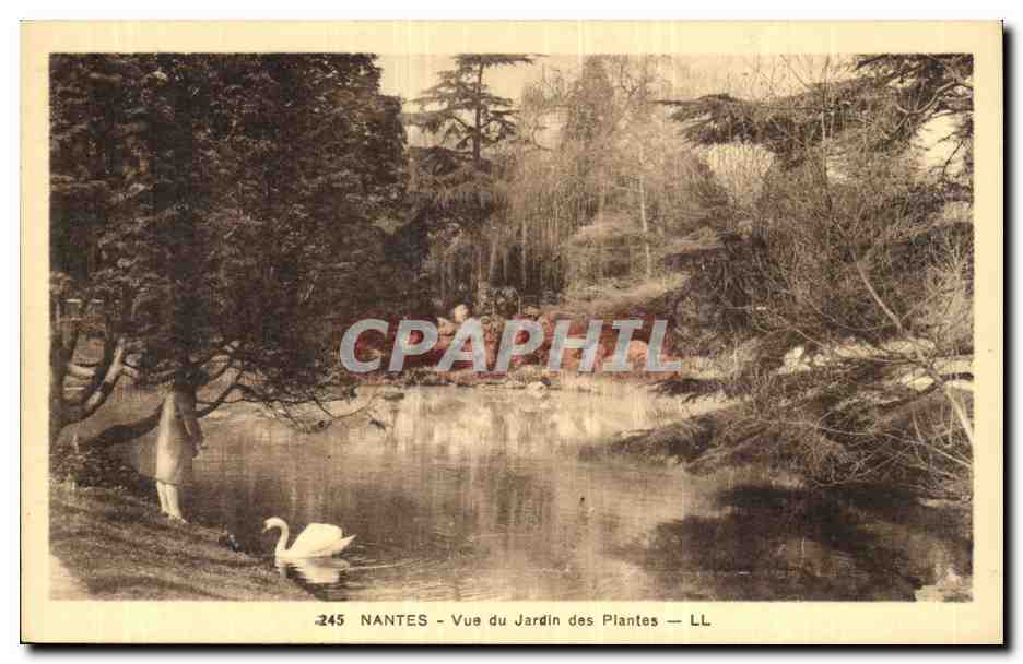 CPA Nantes Vue du jardin des plantes