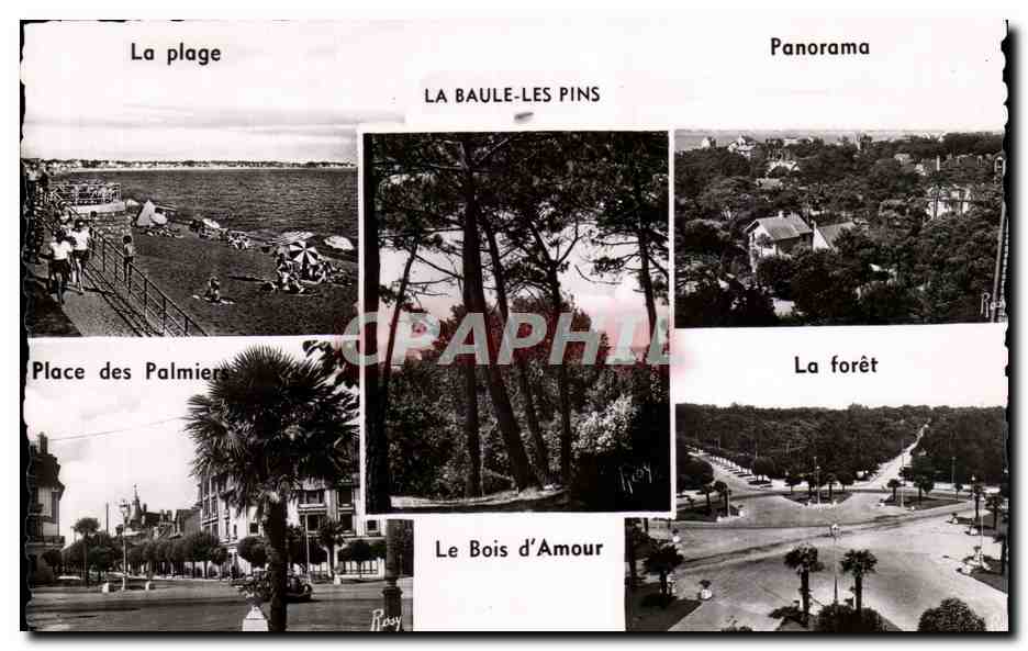CPSM La Baule plage Foret Palmiers Bois d'amour 