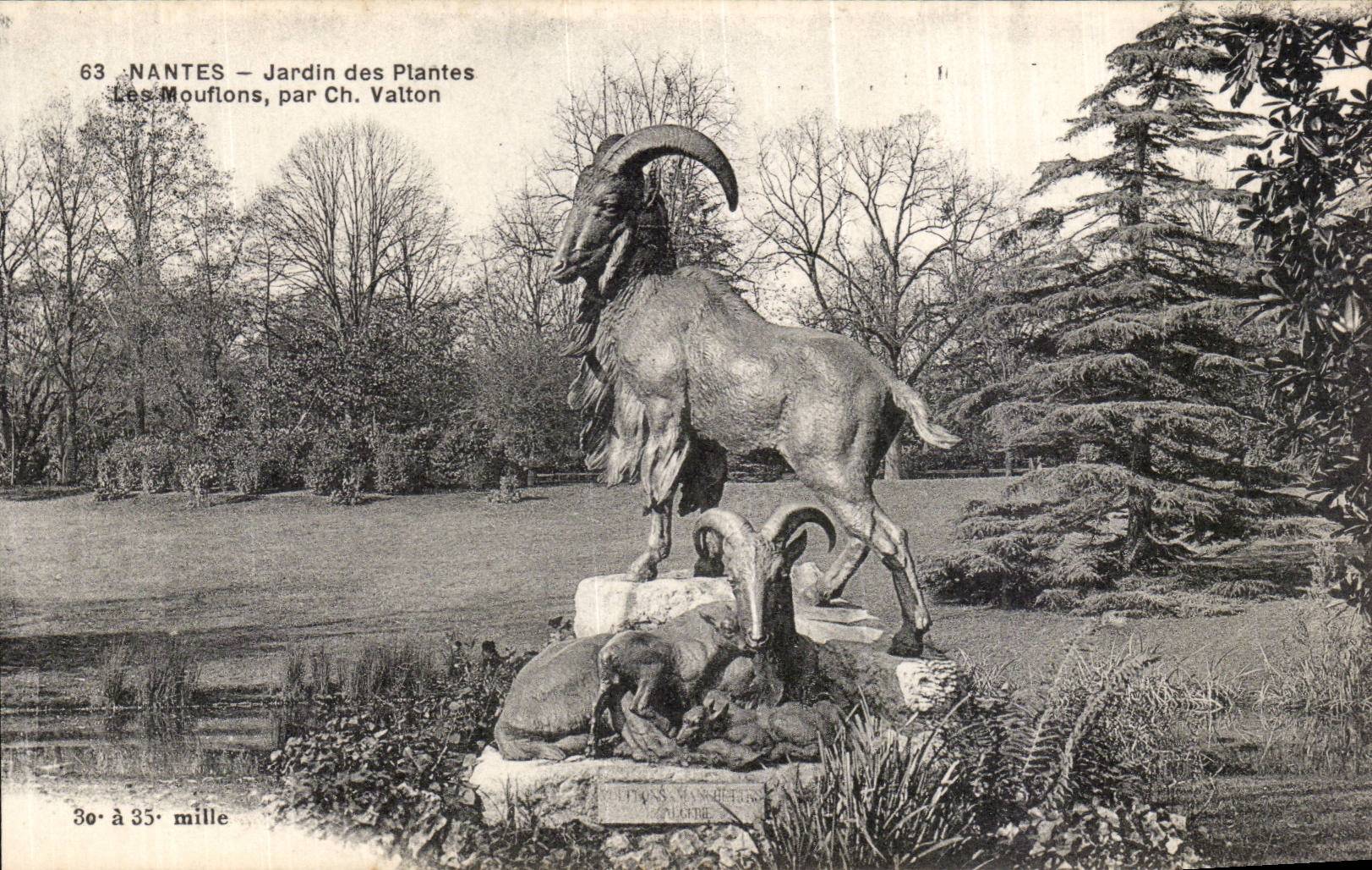Nantes CPA Jardin des plantes Les mouflons par Ch Vallon 
