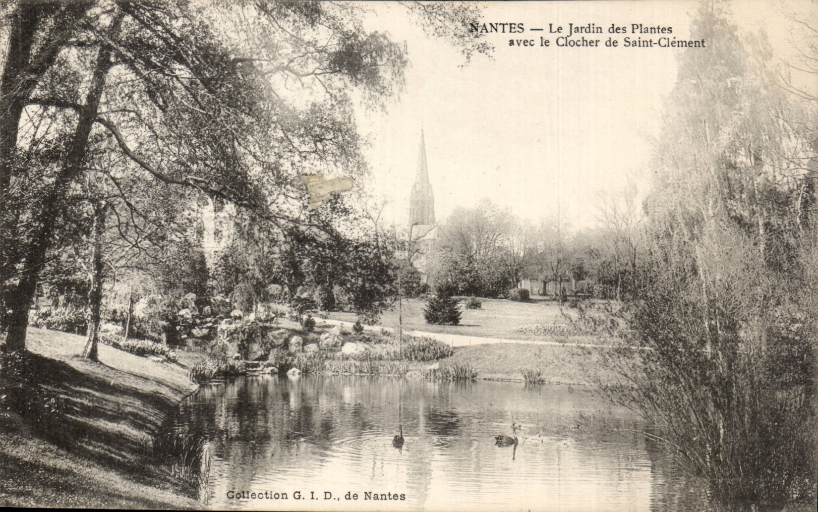 CPA Nantes Le jardin des plantes avec le clocher de Saint Clement