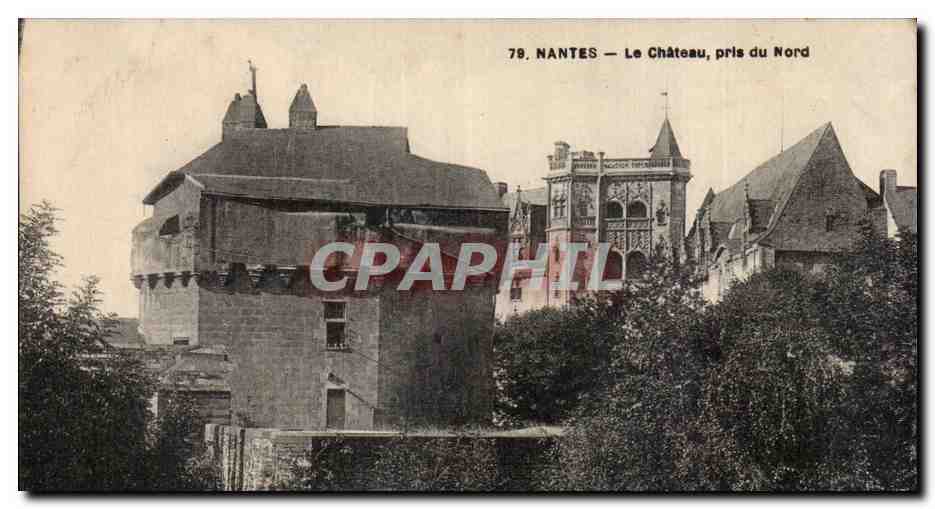 CPA Nantes Le chateau pris du nord