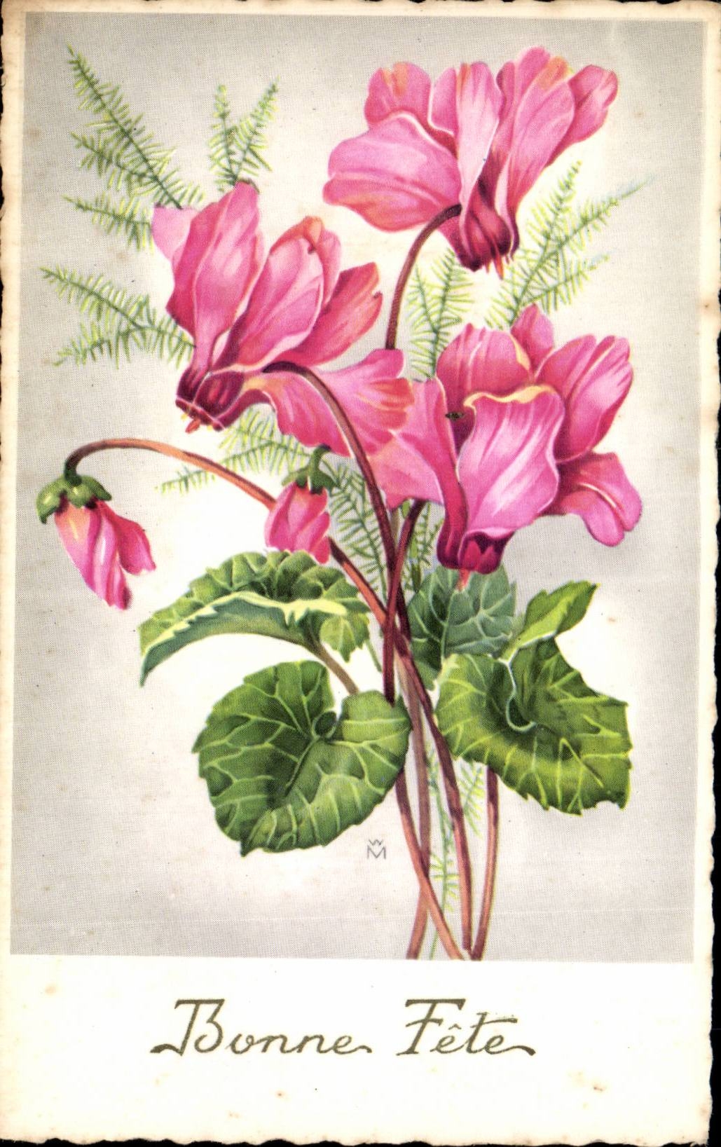 Fleurs - Flowers - Pretty bouquet of exotic wild flowers - Bonne Fete - CPA 