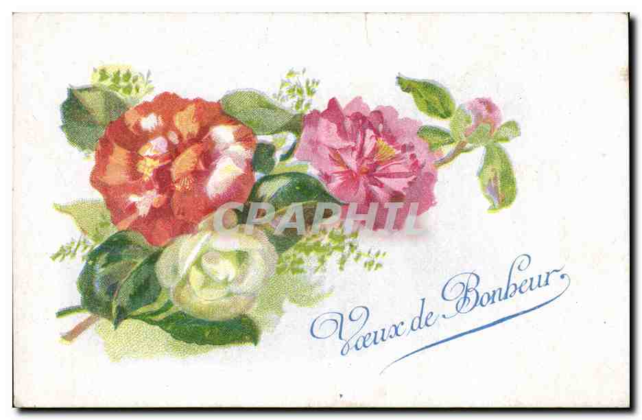 Fleurs - Flowers - Voeux de Bonheur - CPA 