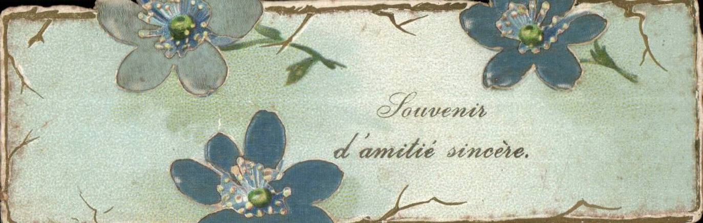 Fleurs - Flowers - Souvenir d'Amities Sincere - CPA 
