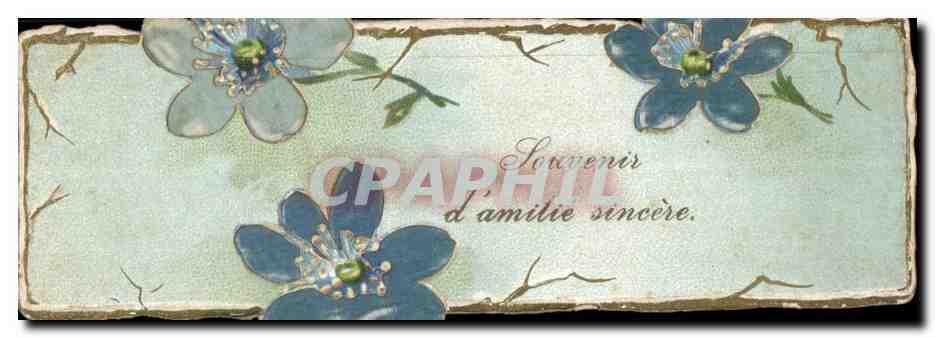 Fleurs - Flowers - Souvenir d'Amities Sincere - CPA 