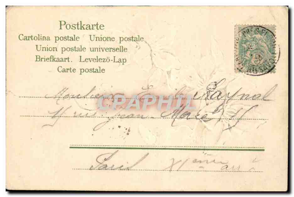 Fleurs - Flowers - Delicate flowers - CPA  — Verso