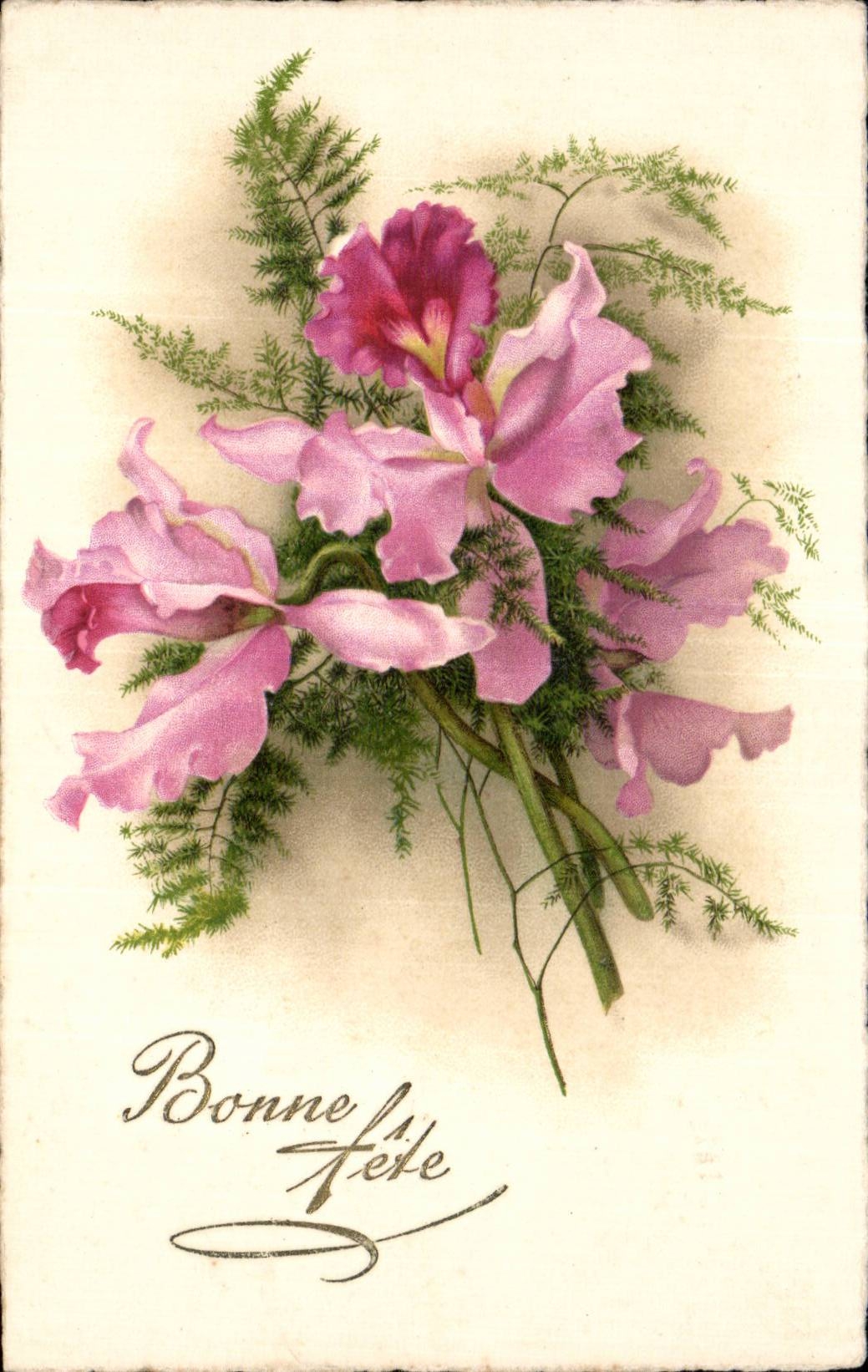 Fleurs - Flowers - Exotic bloom - CPA 