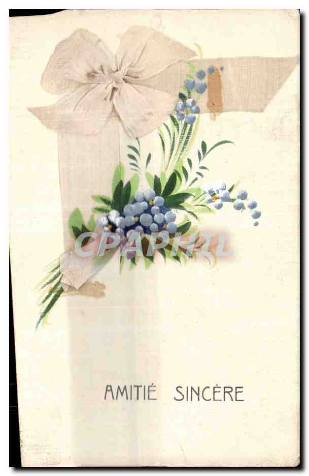 Fleurs - Flowers - Berry bouquet with large bow - CPA 