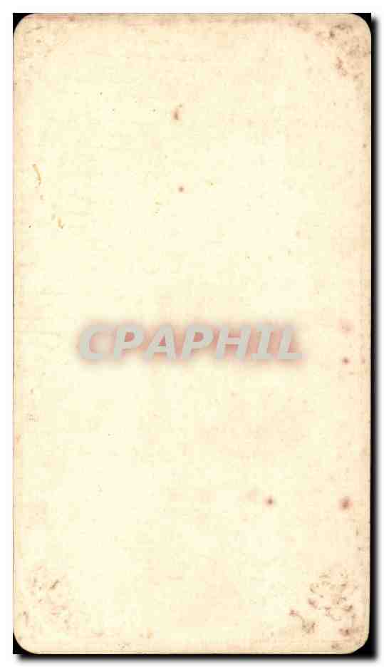 Fleurs - carnations - Pretty Vintage Lettering CPA  — Rückseite