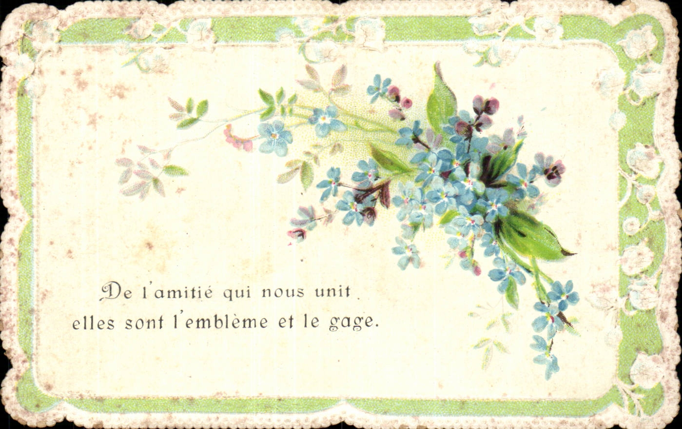 Fleurs - Delicate scalloped edged flower design CPA 