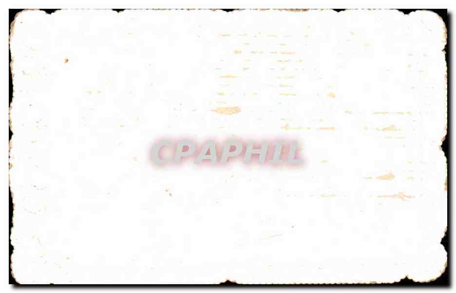Fleurs - Delicate scalloped edged flower design CPA  — Verso