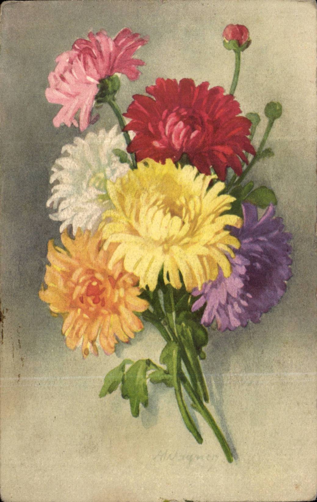 Fleurs - Flowers - Colorful bouquet of gerber daisies - CPA 