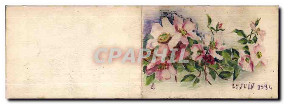 Fleurs - Flowers - springtime flowers - Juin 1924 - CPA 