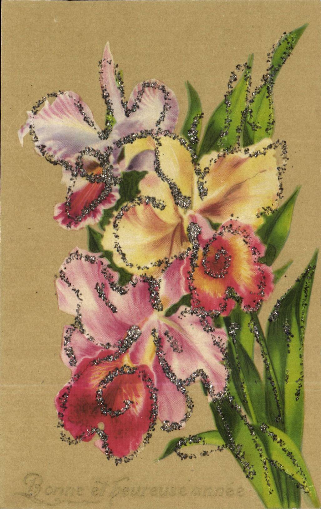 Fleurs - Flowers - Glitter outlined vintage flower card - CPA 