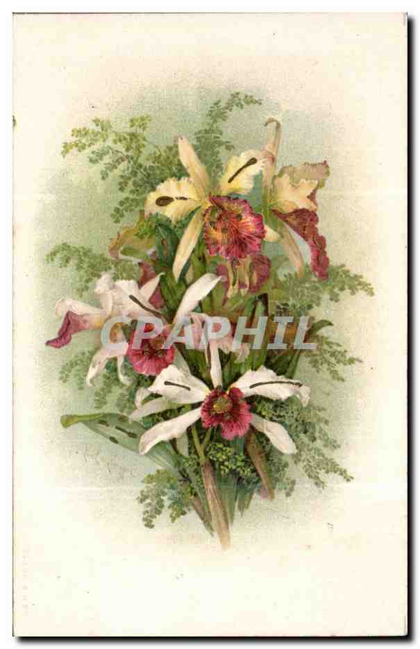 Flowers - Fleurs - Bouquet of lilies - CPA 