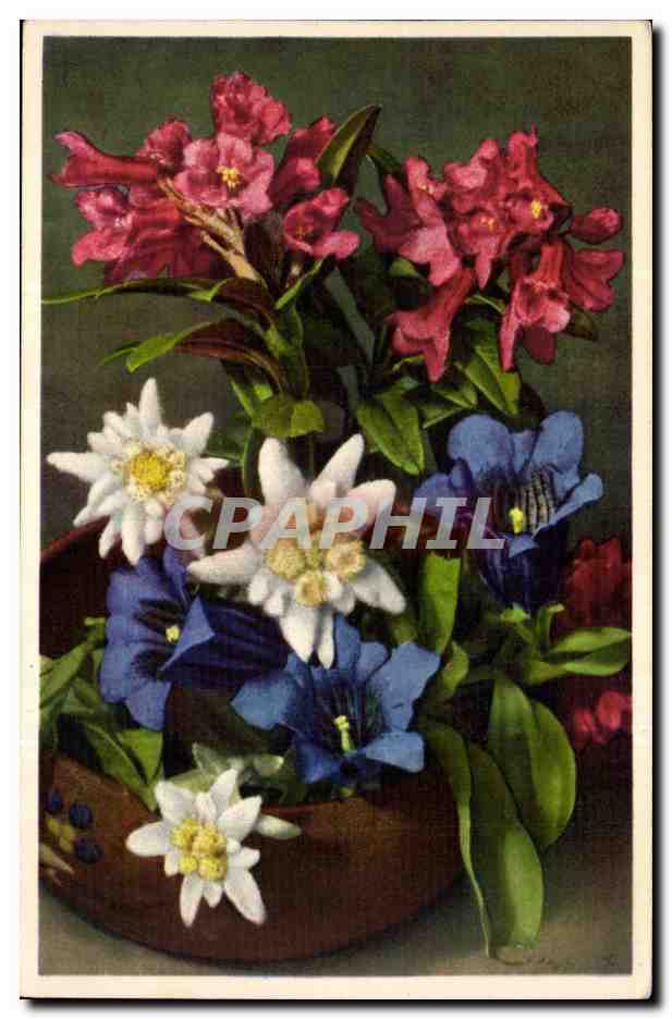Flowers - Fleurs - bright and pretty boquet - CPA 