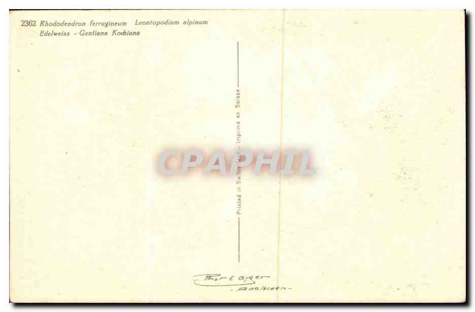 Flowers - Fleurs - bright and pretty boquet - CPA  — Verso