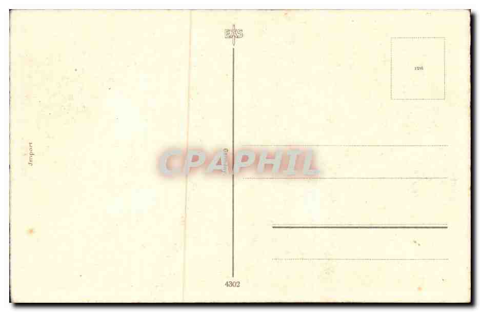 Flowers - Fleurs - bright purple flowers - CPA  — Verso