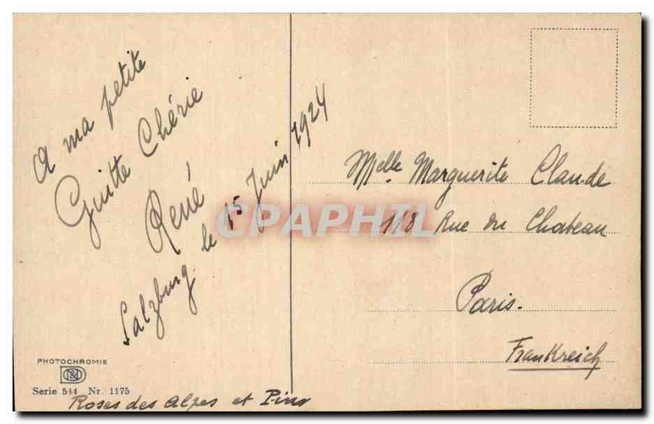 Fleurs - Flowers - Bouquet with pine needles - CPA  — Verso