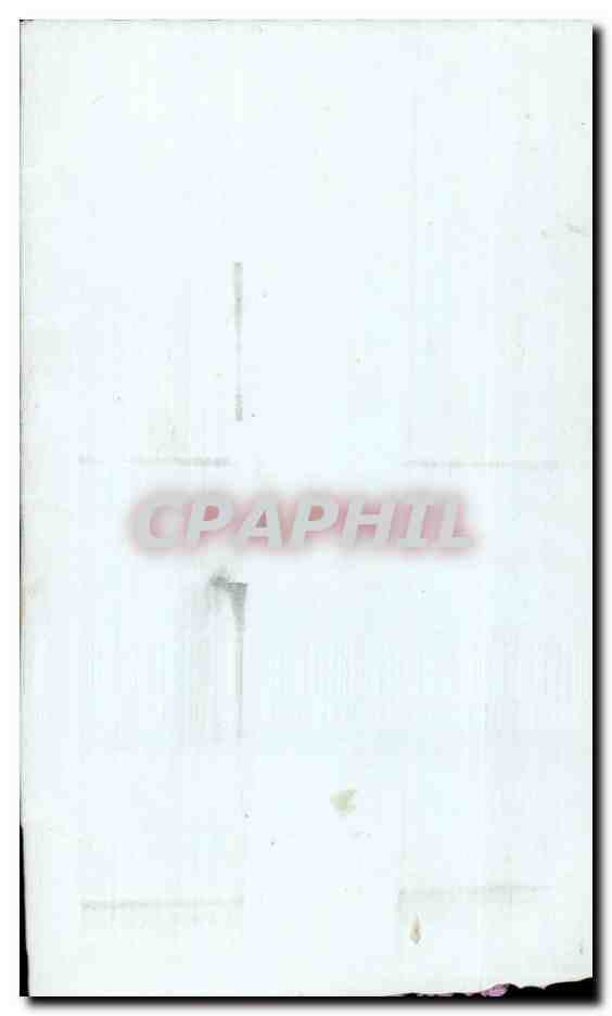 Fleurs - Flowers - Leaves and light blue bow - CPA  — Rückseite