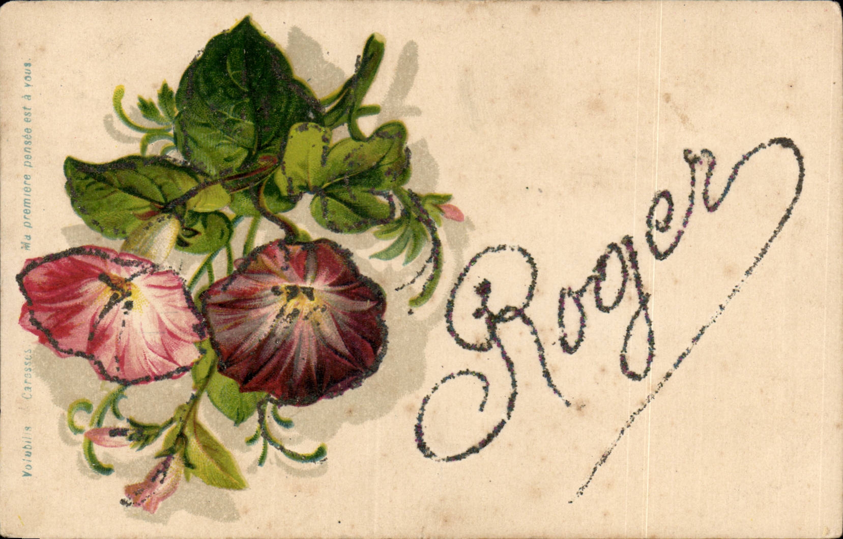 Fleurs - Flowers - Roger in glitter - CPA 