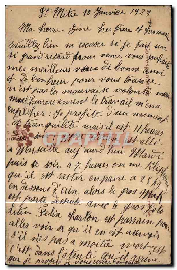 Fleurs - Flowers and wooded scene - CPA  — Rückseite
