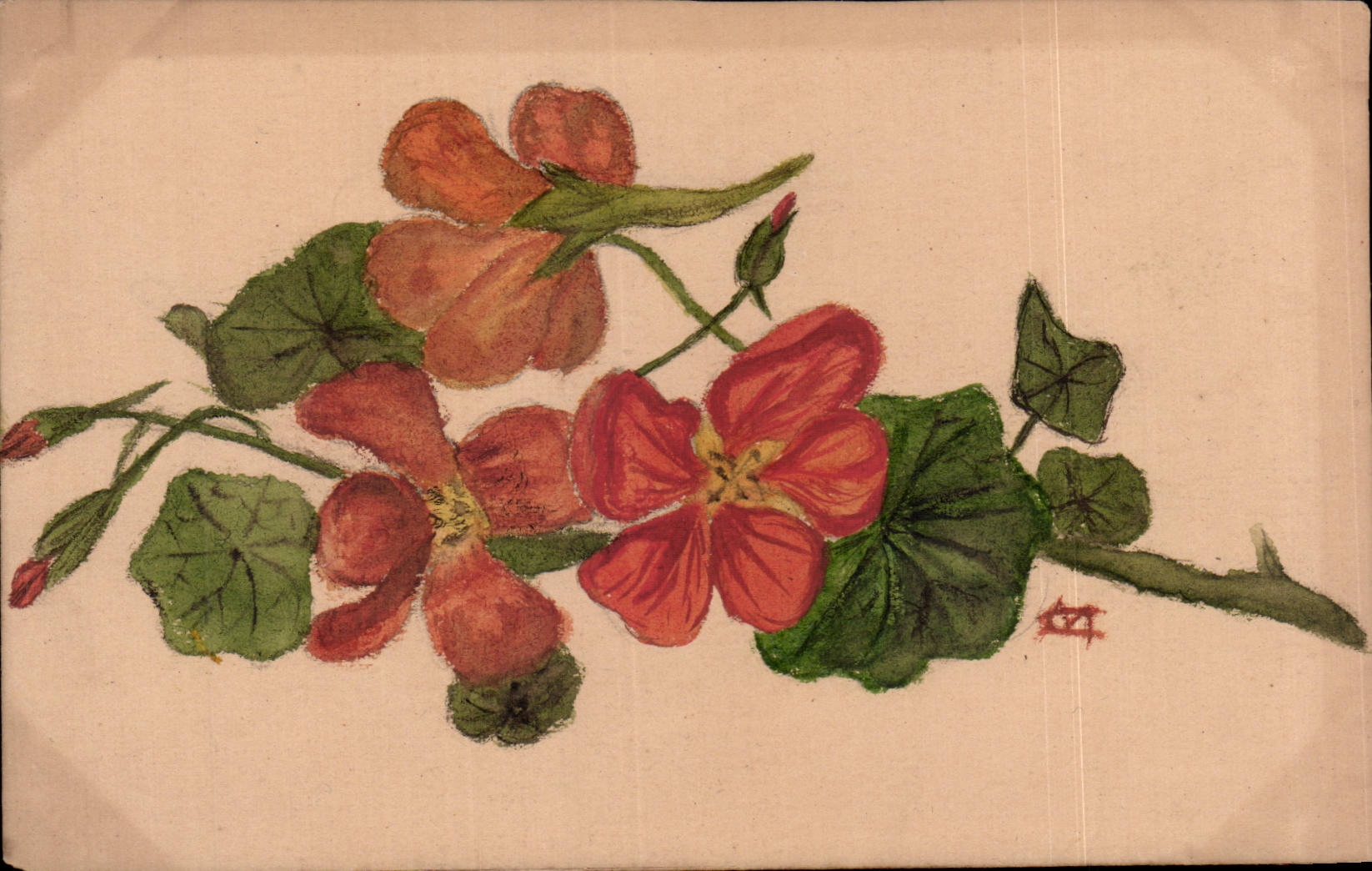 Fleurs - Pretty pressed looking flowers - CPA 