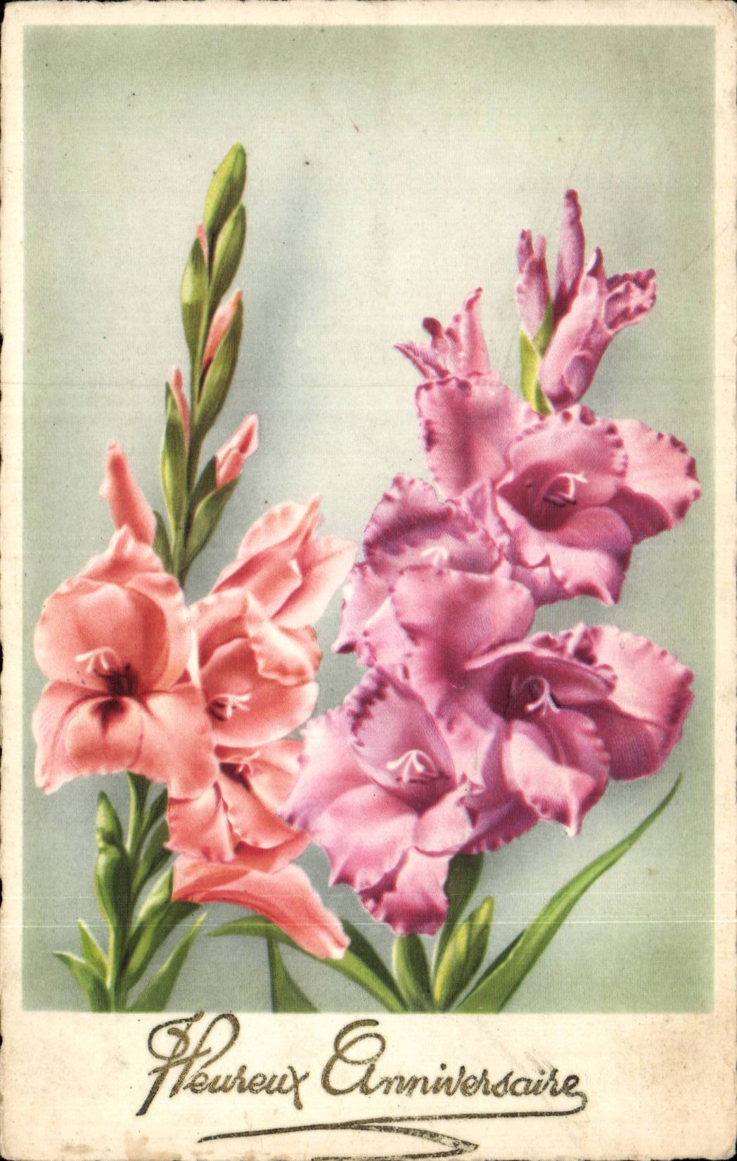 Fleurs - Pretty Pink Flowers - CPA 