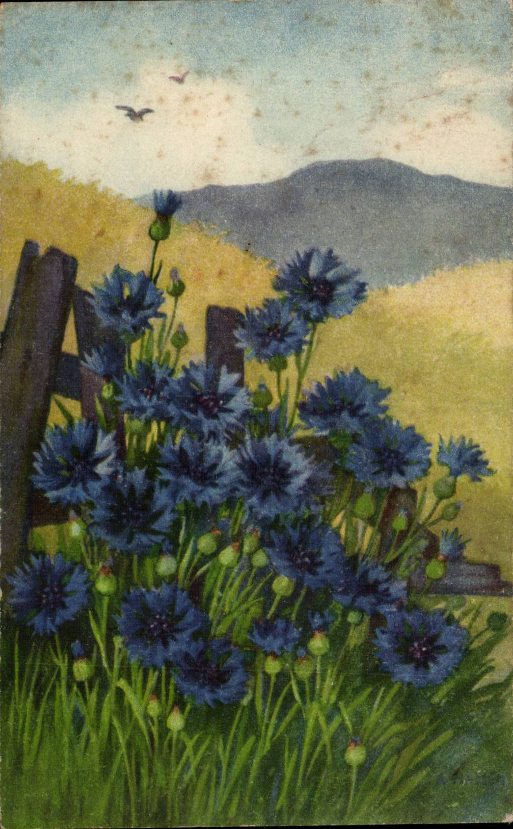 Fleurs - Country Scene - Purple Flowers - CPA 