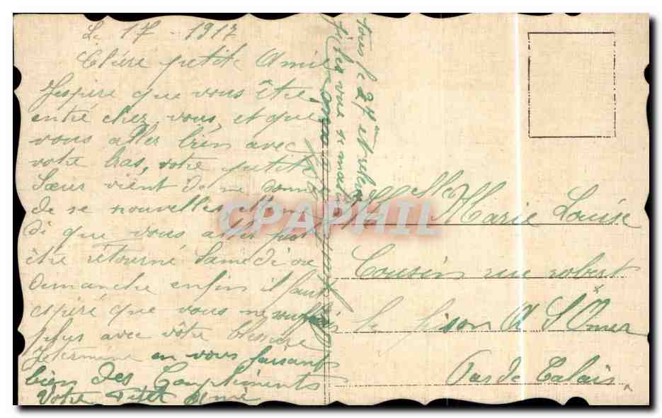 Fleurs - Flowers - little white flowers - CPA  — Verso