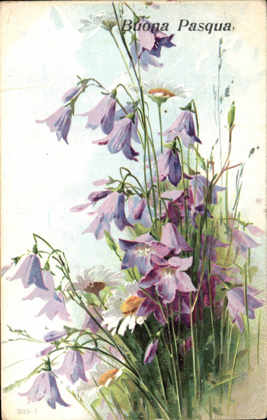 Fleurs - Flowers - pretty wildflowers - Buona Pasqua - Ostern - Easter - Paques - CPA 