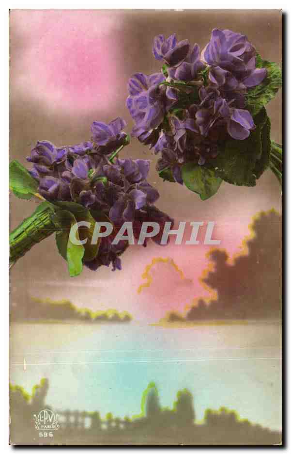 Fleurs - Flowers - pretty purple flowers - CPA 