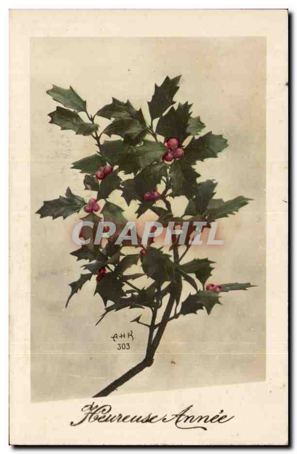 Fetes - Holiday - Heureuse Annee - Happy New Year - houx - holly - CPA 