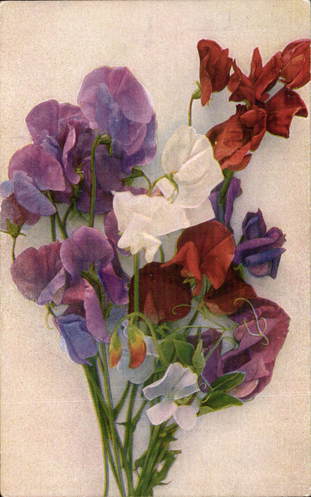 Fleurs - Flowers - Colorful bouquet - CPA 