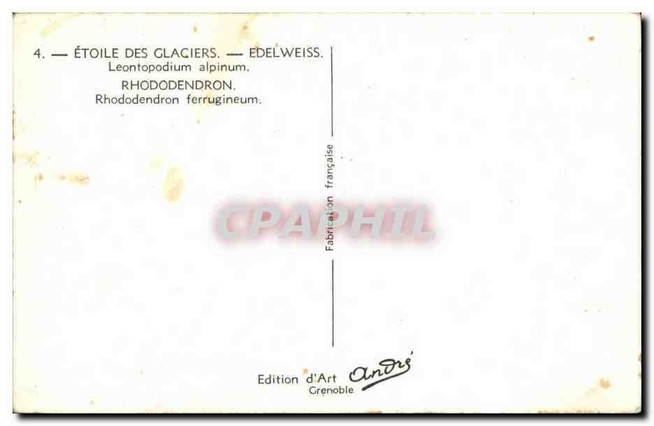 Fleurs - Flowers - very victorian flowers - CPA  — Verso