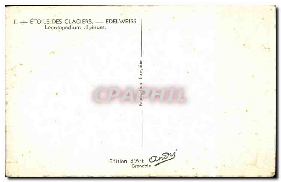 Fleurs - Flowers - very victorian flowers - CPA  — Verso