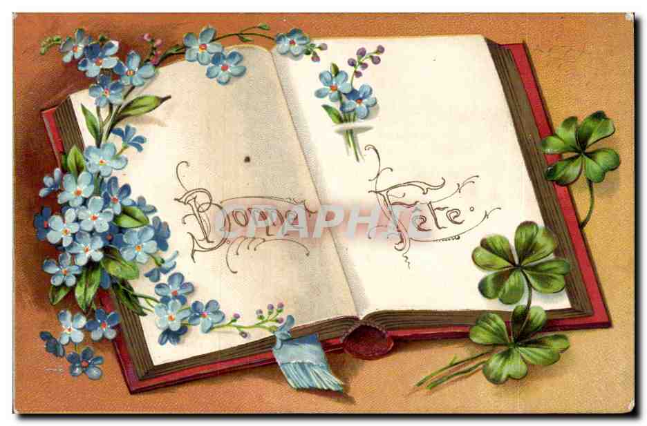 Fleurs - Flowers - Bonne Fete - book - livre - purple flowers - CPA 