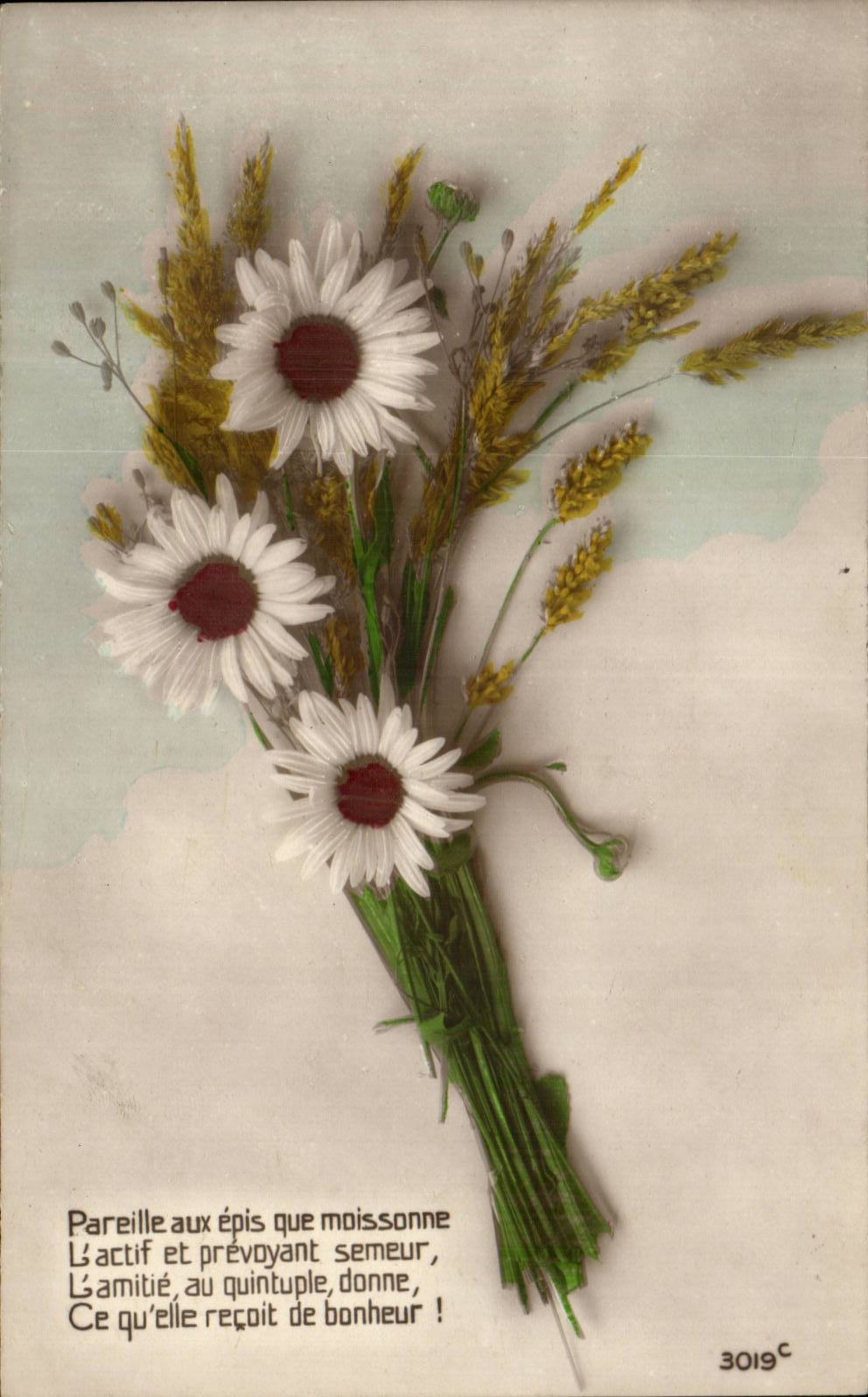Fleurs - Flowers - Daisy and wheat bouquet - ble - CPA 