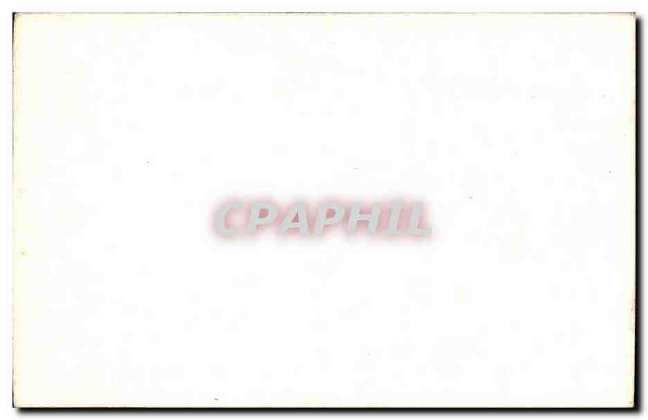 Fleurs - Flowers - Pretty little bouquet - CPA  — Verso