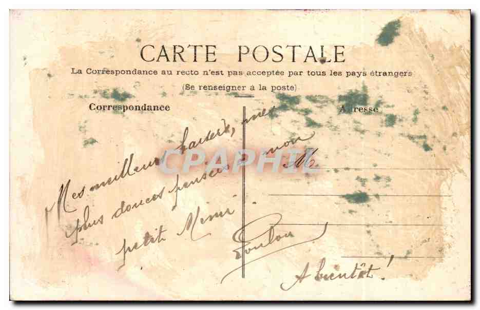 Animaux - Oiseaux - Cigogne - Stork - Retour au nid - Return to the nest - CPA  — Back