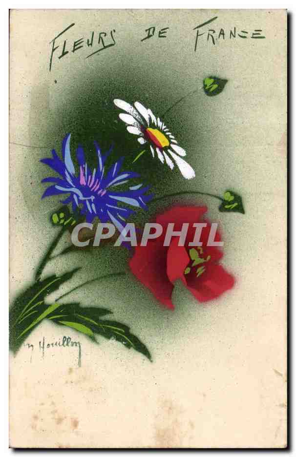 Fleurs - Flowers - Fleurs de France - CPA 