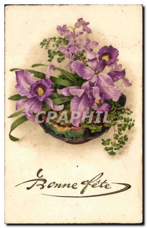 Fleurs - Flowers - Pretty basket of Irises - - CPA 