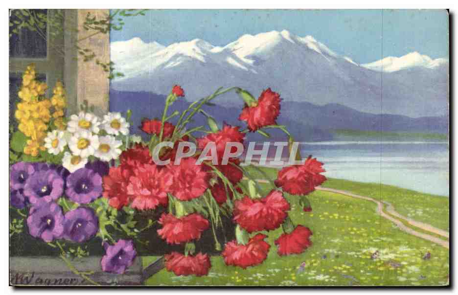 Fleurs - Flowers - Colorful mountain scene - CPA 