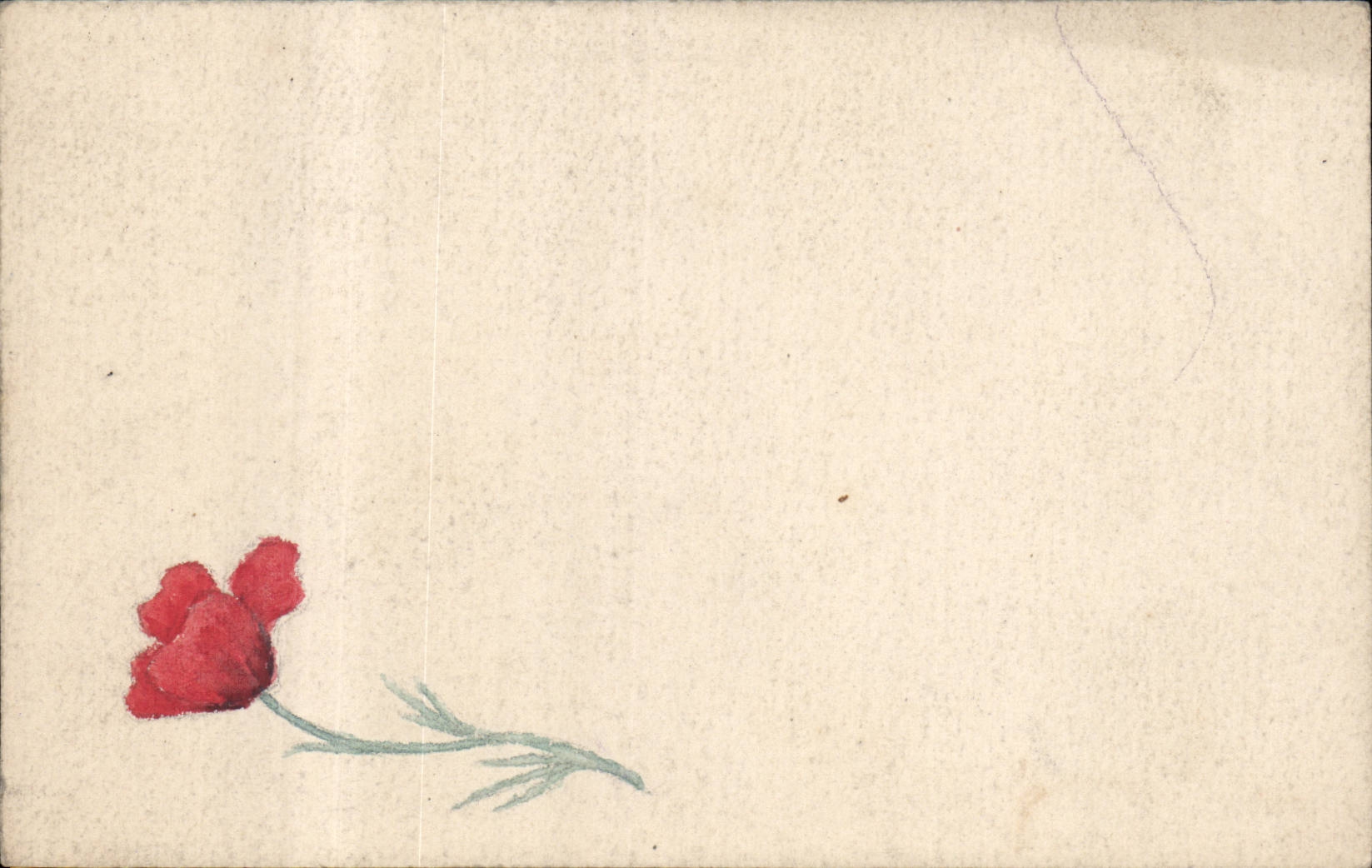 Fleurs - Flowers - Single Red Poppy - CPA 