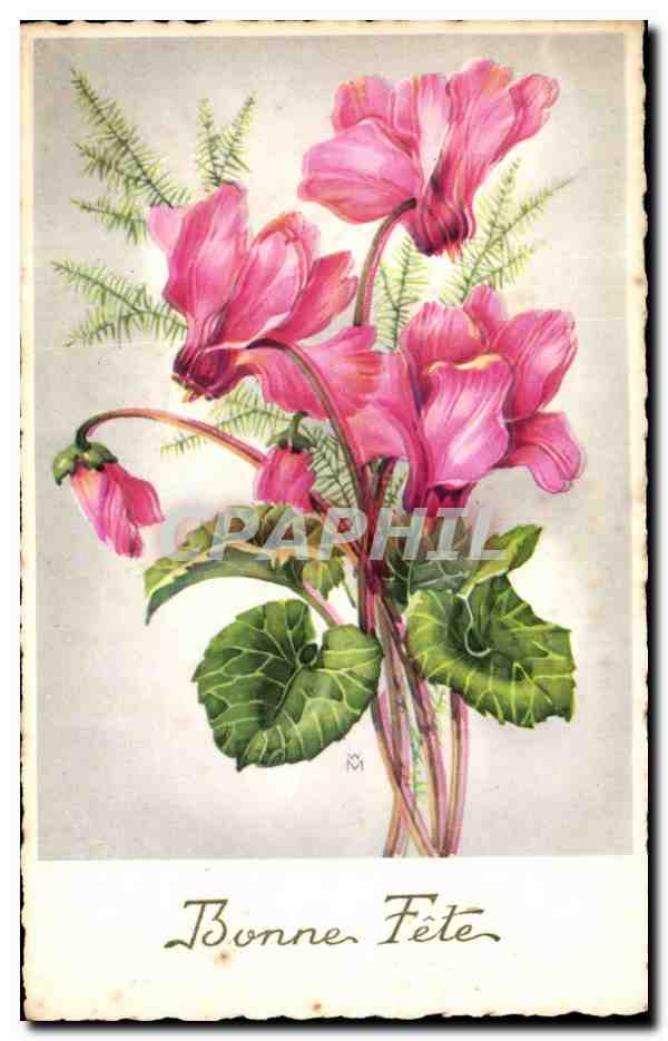 Fleurs - Flowers - Bouquet of pink exotic flowers - Bonne Fete - CPA 